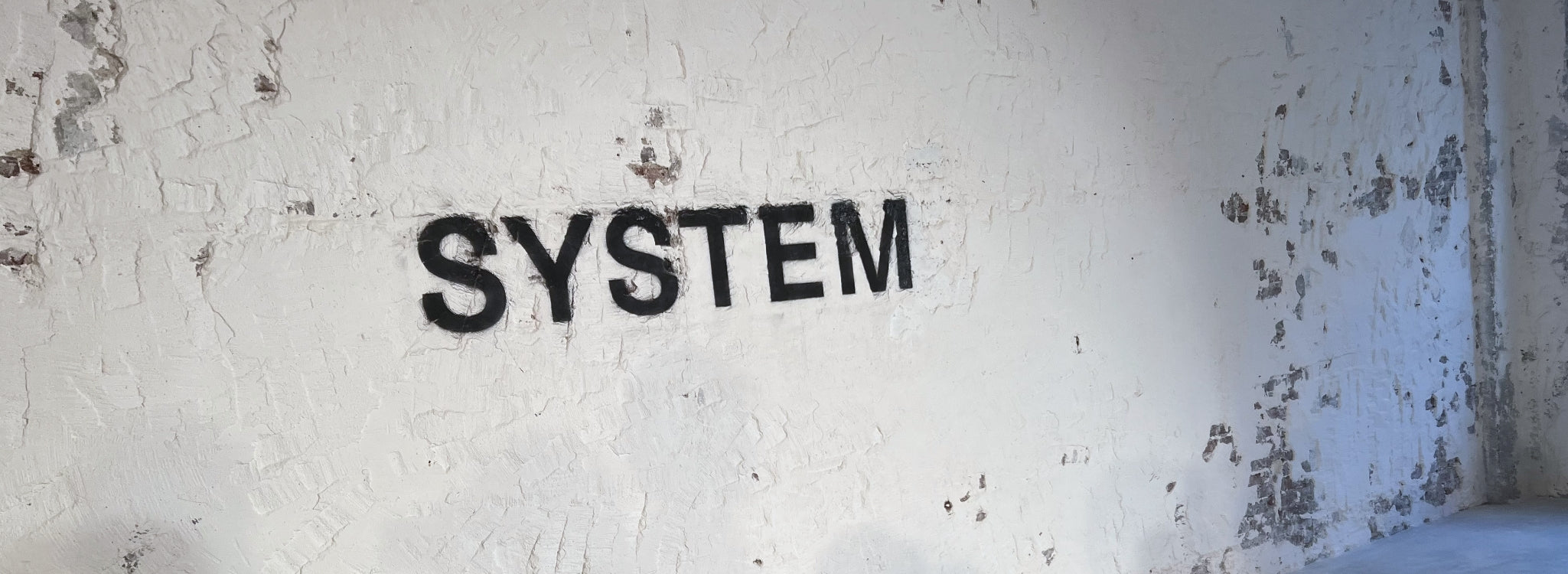 SYSTEM Spring / Summer 2025 Collection “SUMMER LOVE”